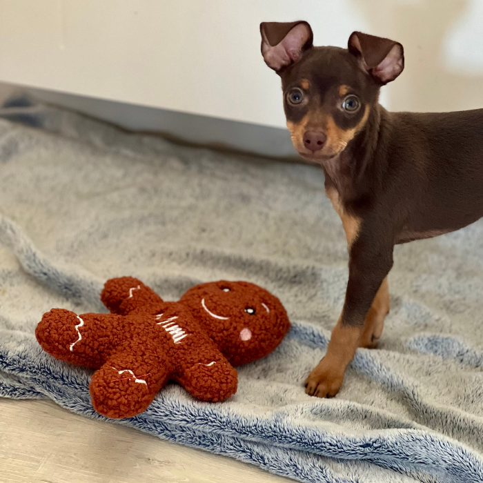 Bonhomme pain d'épice