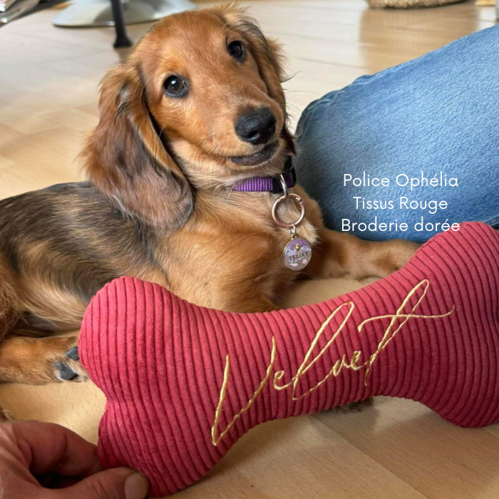 L'Os personnalisé 25cm