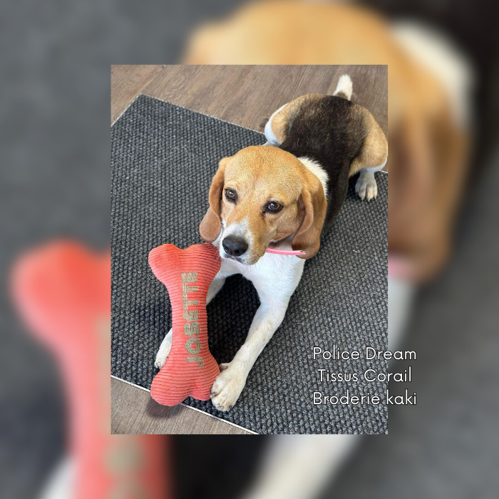 L'Os personnalisé 25cm