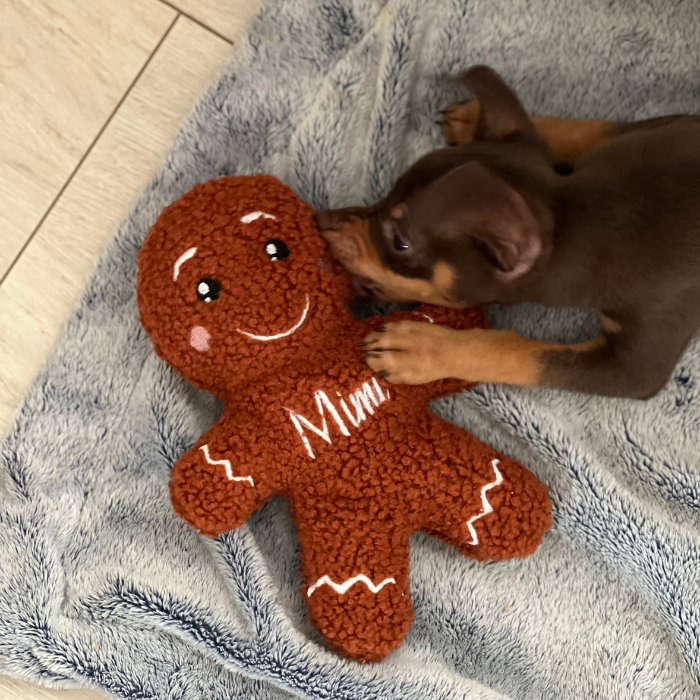 Bonhomme pain d'épice