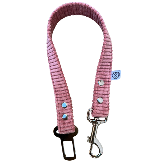 Ceintures de sécurité pour chien