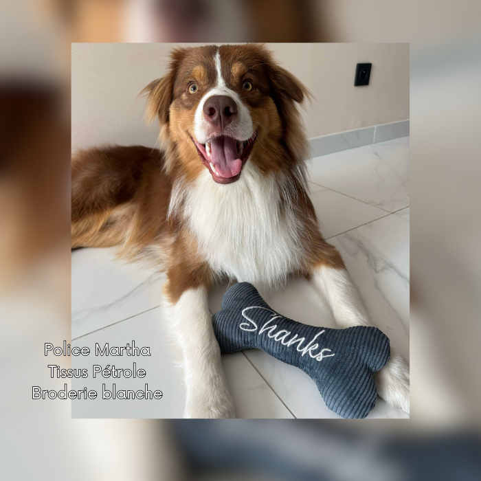 L'Os personnalisé 25cm