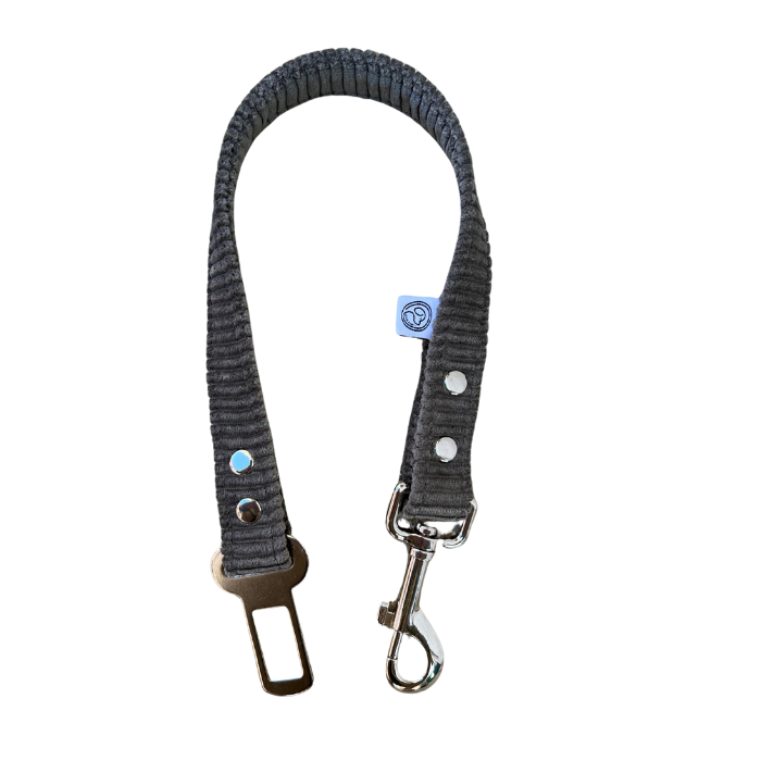 Ceintures de sécurité pour chien
