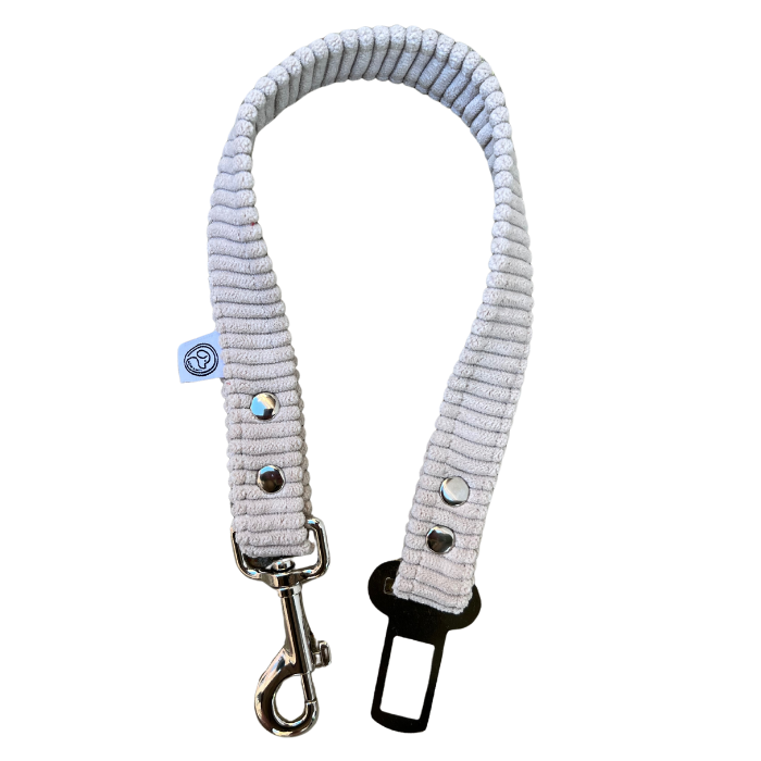 Ceintures de sécurité pour chien