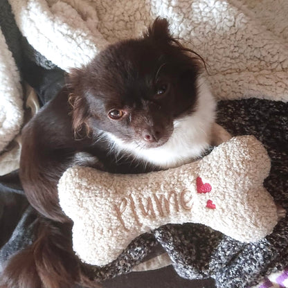 L'Os personnalisé Teddy