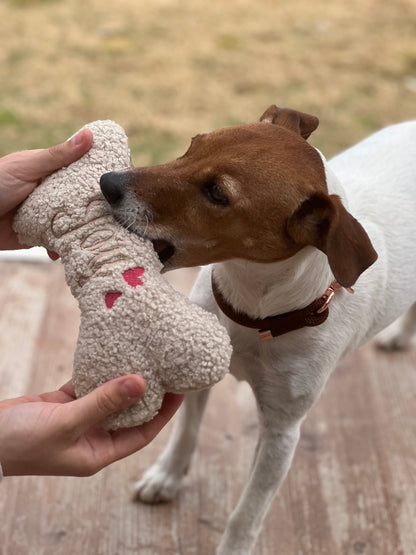 L'Os personnalisé Teddy